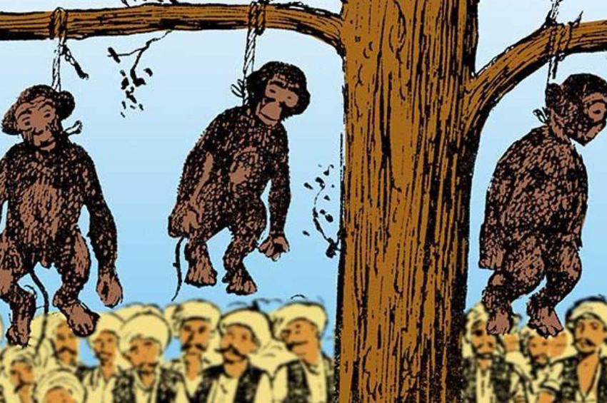 Osmanli Devrinde Idam Edilen Maymunlar Yasam