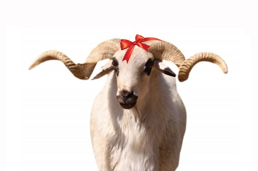 kurban bayrami ne zaman tatil kac gun olacak yurt