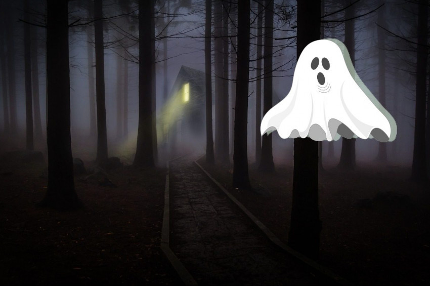 Hayalet nedir, kaç tür hayalet vardır? Xfiles Hayalet nedir, kaç tür hayalet vardır? Xfiles