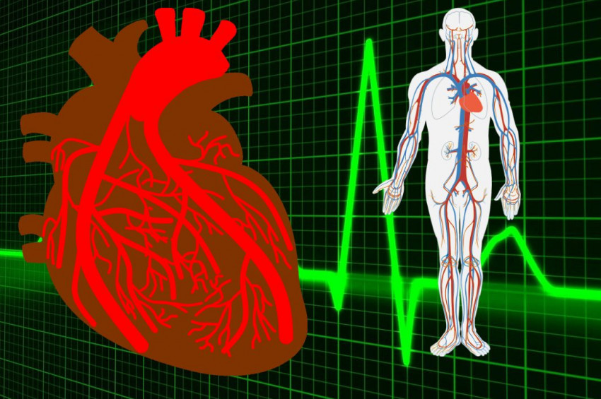 Kalp damarlarında soruna işaret eden 8 belirti