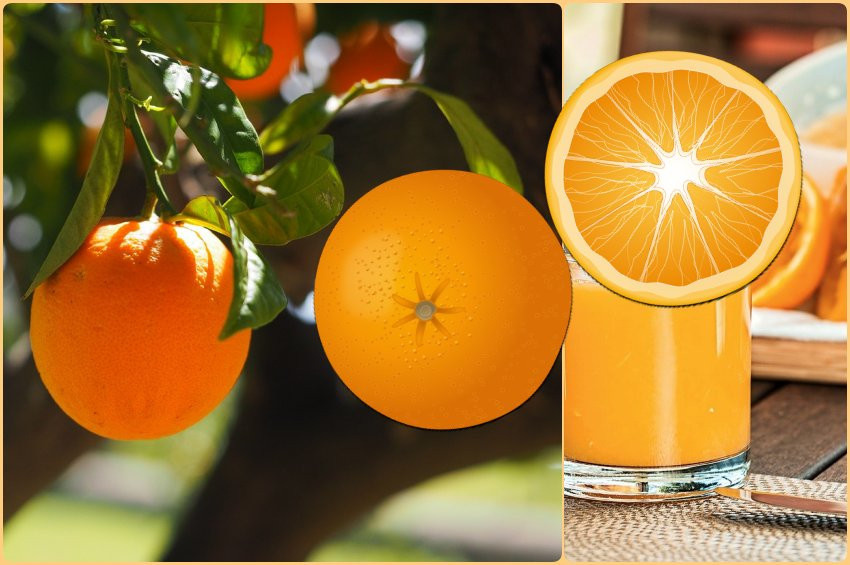 Portakal yemenin 7 püf noktası ve 10 önemli faydası