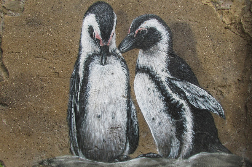 Antarktikada binlerce yavru penguen açlıktan kırıldı