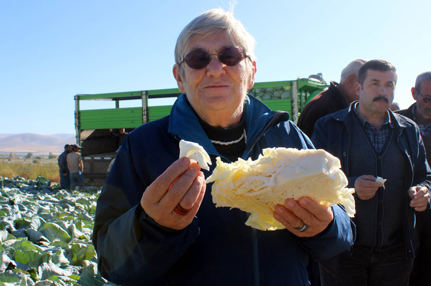 Canan Karatay: Lahana turşusu kanseri önler