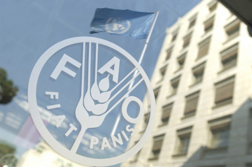 Dünya Gıda Gününde göç ve açlık konuşulacak