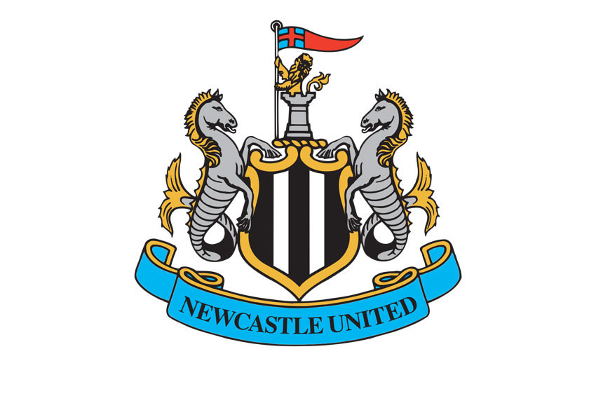 Sahibinden satılık kulüp: Newcastle United