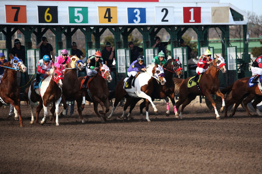 Atçılık sektörü yüzde 11,56 büyüdü