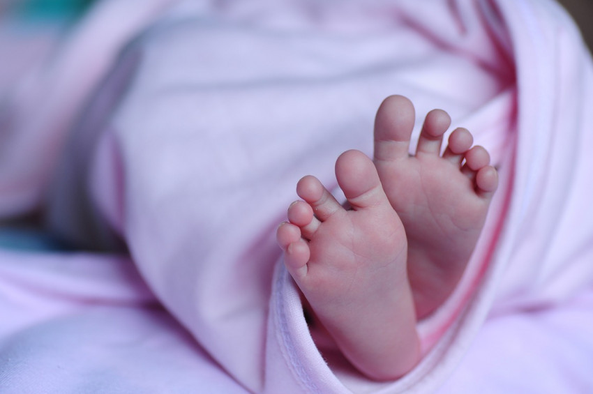 Dünyada her gün ortalama 7 bin bebek ölüyor