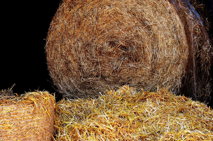 İthal samanın ilk partisi geldi