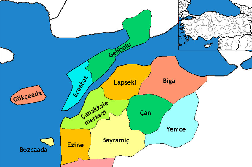 Gökçeada Belediye Başkanı Çetin partisinden istifa etti
