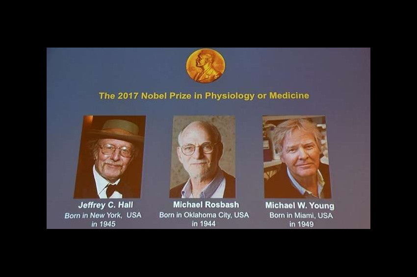 2017 Nobel Tıp Ödülü, üç bilim adamına verildi