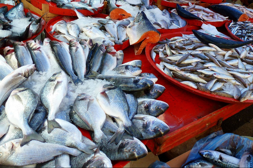 Tezgahlarda balık bolluğu yaşanıyor