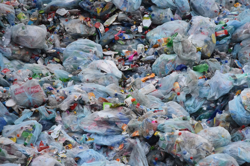 Çöplükte bebek cesedi bulundu