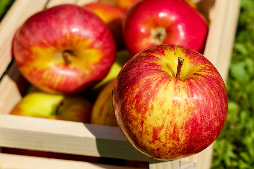 Elma kabuğundaki zararlı kimyasallar