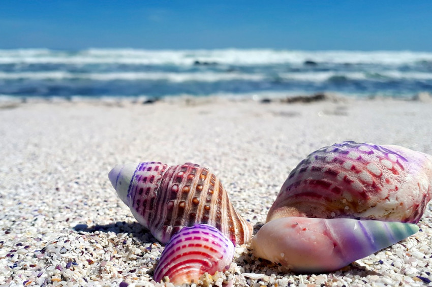 Türkiyenin turizm geliri temmuz-eylül döneminde arttı