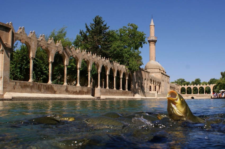 Balıklıgöle bilimsel dokunuş