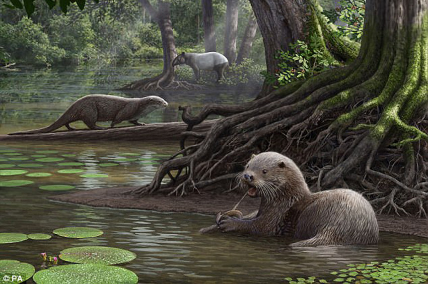 Su samurlarının ataları yırtıcı olabilir