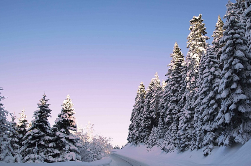Doğu Anadoluda kar yağışı bekleniyor