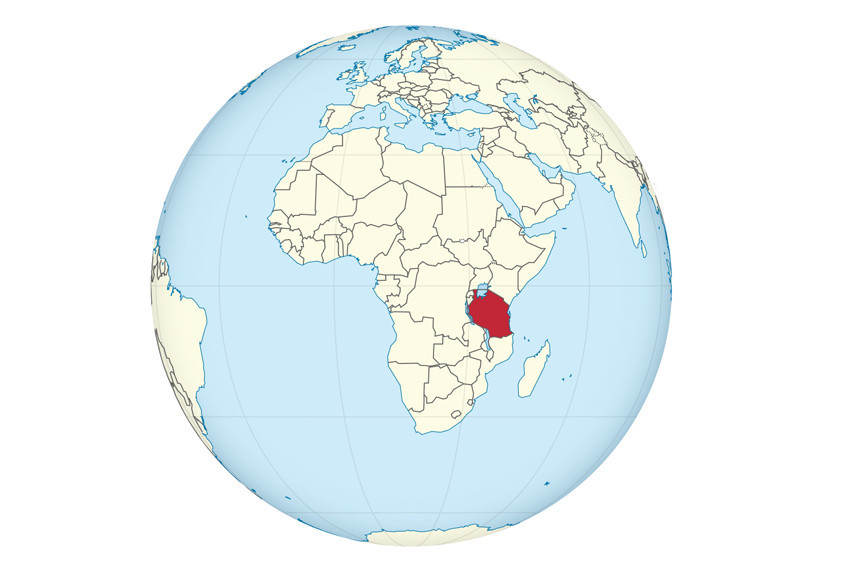 Tanzanyada uçak kazası: 11 ölü