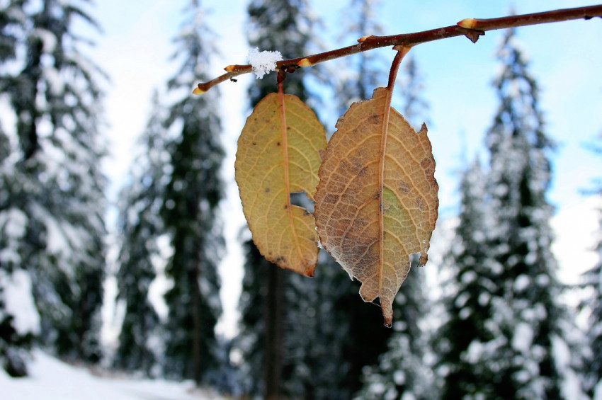 Doğu Anadoluda sıcaklıklar sıfırın altında