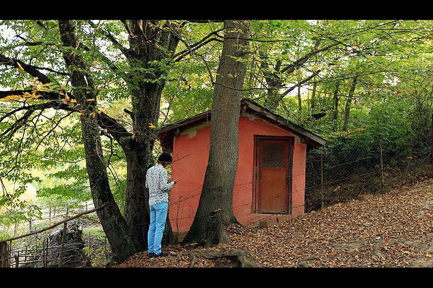 Araplar Evliyası Türbesi ormanı koruyor