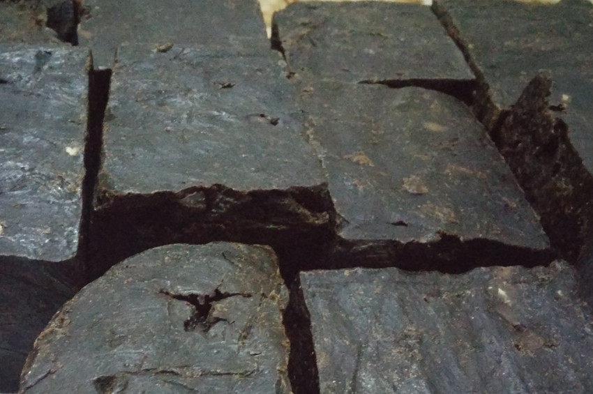 Katran projesinde olumlu glişmeler var