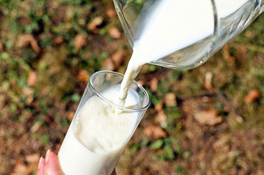 Protein almanın en doğru formülü