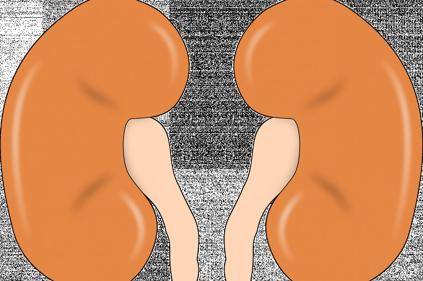 Bursa, organ bağışında 6 yıldır lider