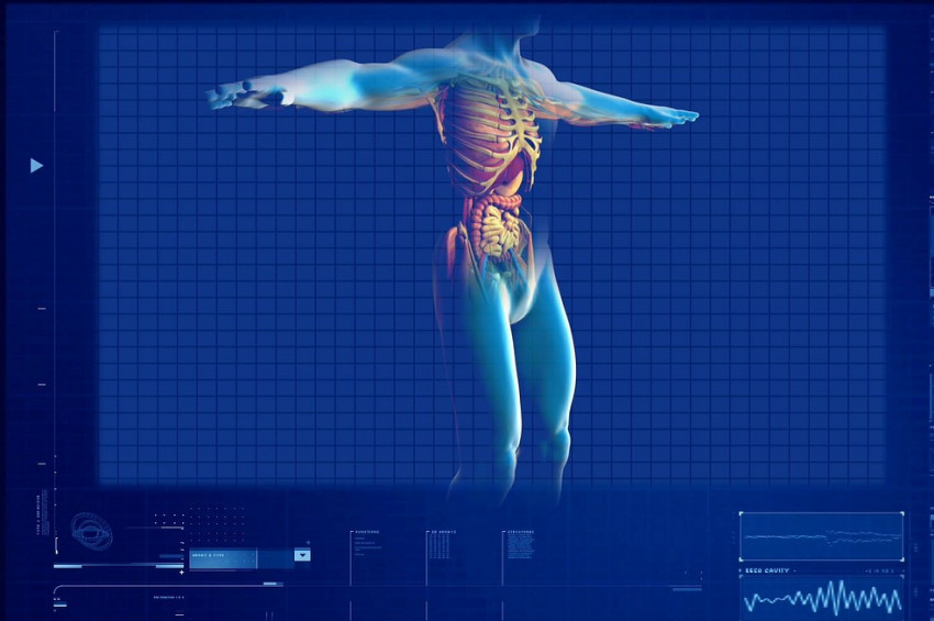 Pankreas kanserinde Dört gen yaşama şansını etkiliyor