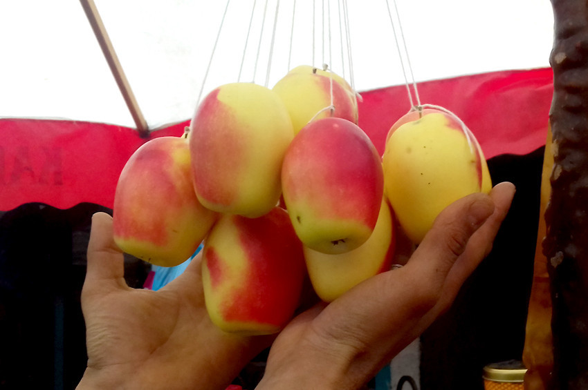 Uzun elmalar tezgahlarda