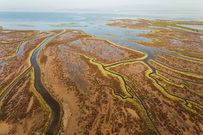 Gediz Deltası UNESCO Dünya Doğa Miras alanı olabilir