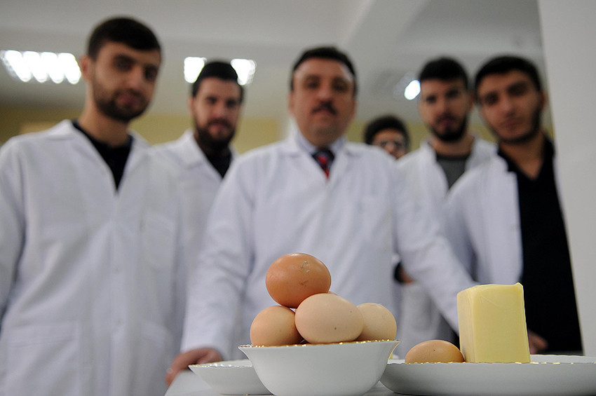 Kaşar peynirini beyazlatan sorunu yumurta ile çözdü