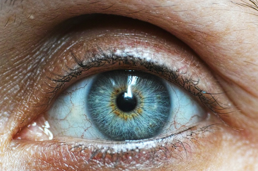 Glokom körlük sebepleri arasında ikinci sırada