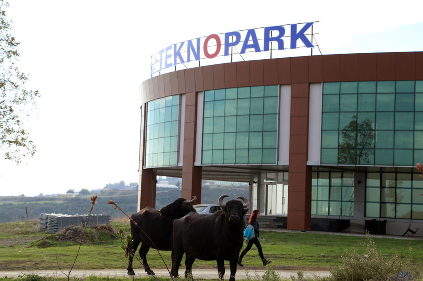Manda yuva yapmış teknopark arazisine