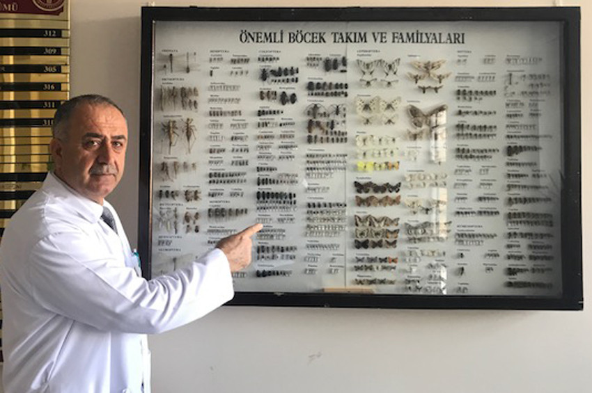 Böceklerden böcek beğendiren müze