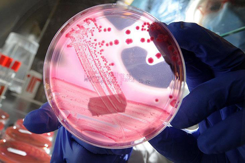 2017nin en dikkat çeken 10 bilimsel buluşu