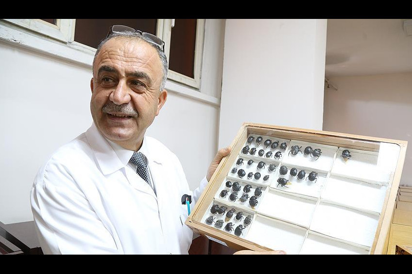 Keşfettiği böceğe babasının adını verdi