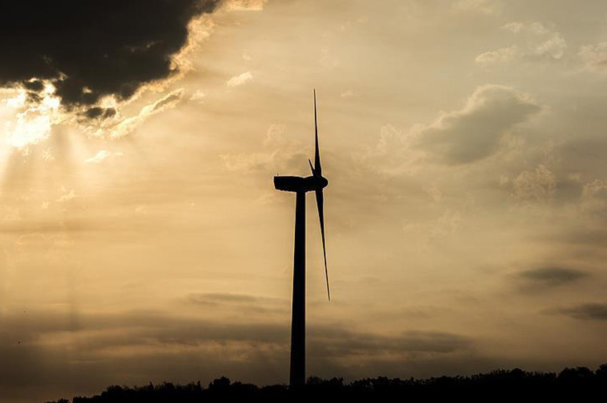 Rüzgar enerjisi ihalelerini kazanan şirketler