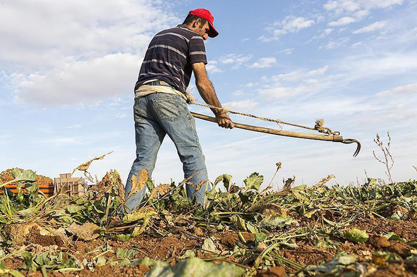 Tarımsal destek ödemeleri yeniden belirlendi