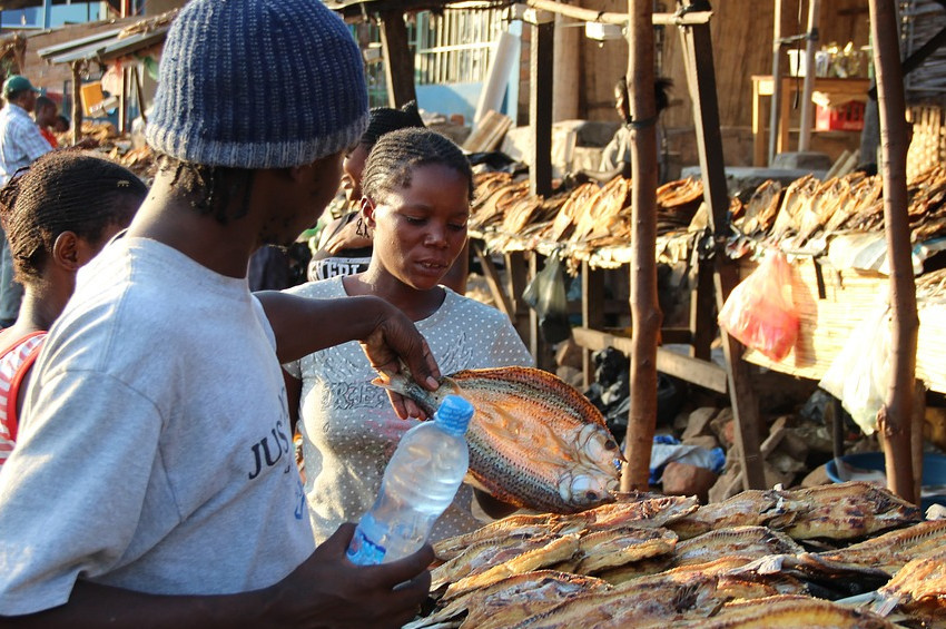 Zambiyada kolera salgını alarmı
