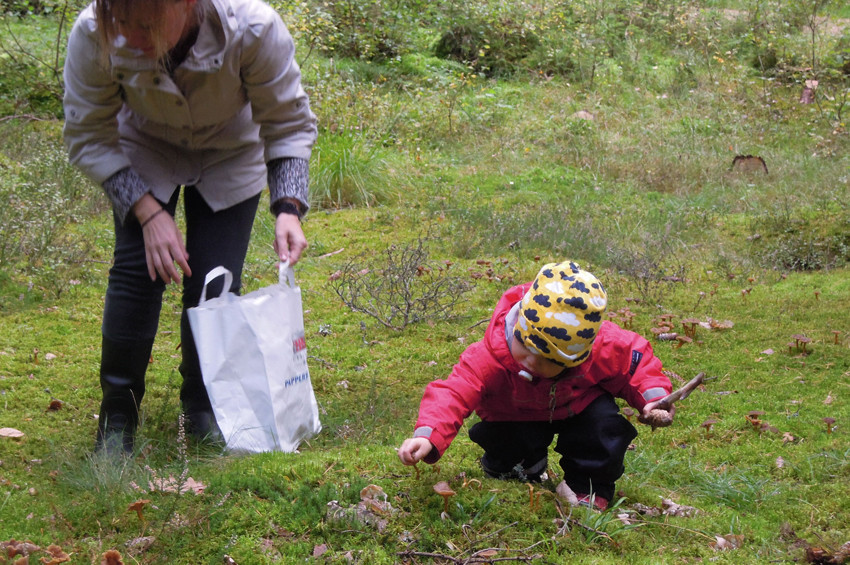 Friluftsliv felsefesi