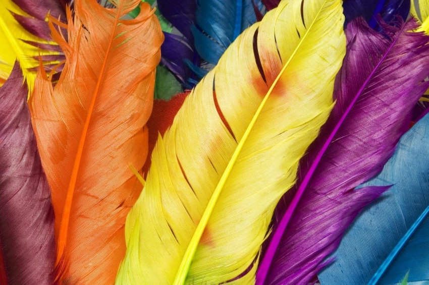 Kuş tüyü hangi inançta neyi simgeler?