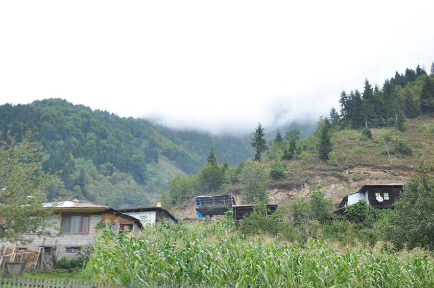 Kafkas Arısının gen merkezi: Macahel