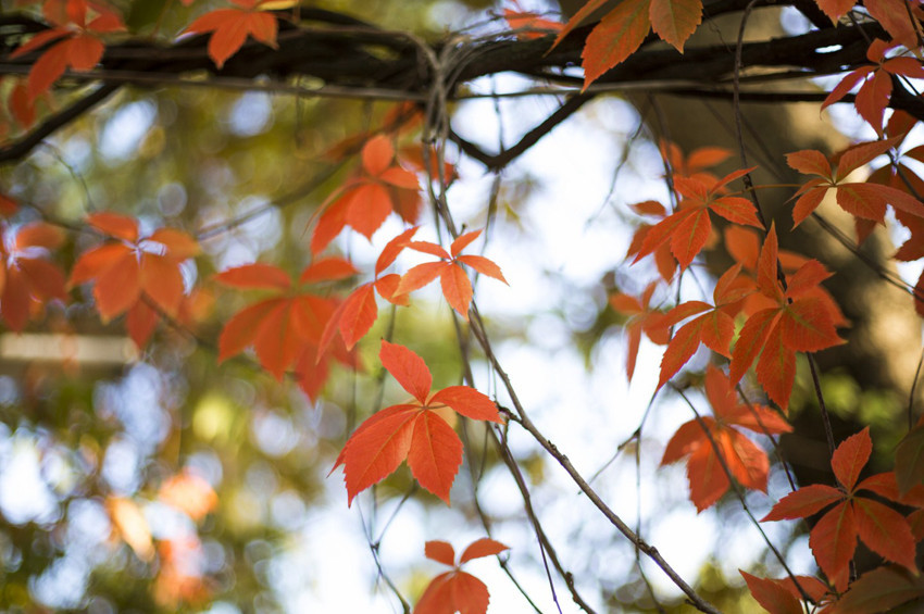 Mevsim geçişleri hastalıklara davetiye çıkarıyor