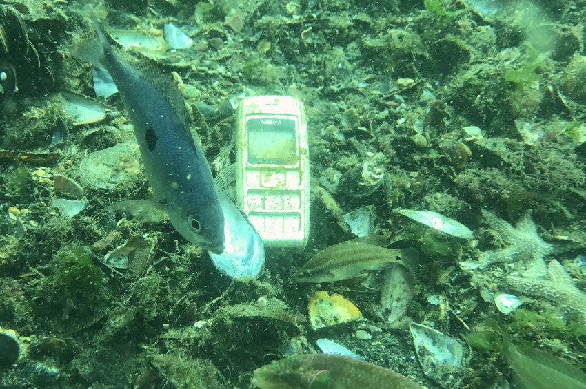 Körfezin batıkları dalgıç turistleri bekliyor