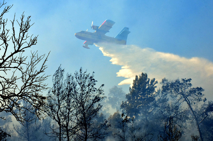 Muğlada orman yangını