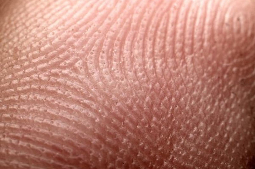 İnsan deri hücresi, doğrudan motor nörona dönüştürüldü