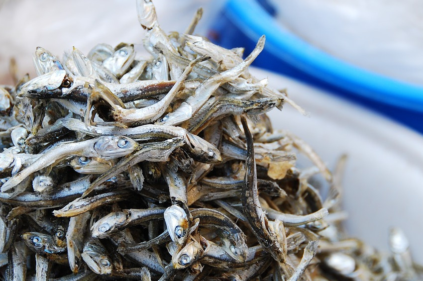 Hamsinin kilosu tezgahta 15 lira