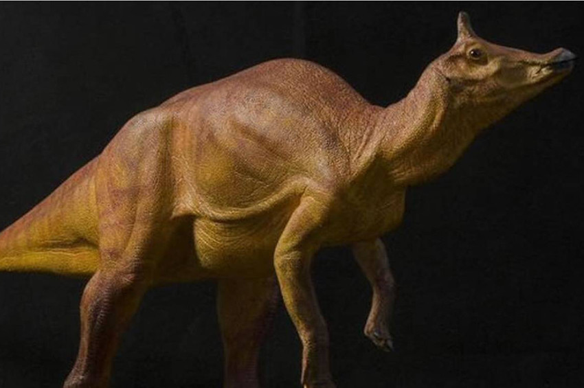 California, ördek gagalı dinozoru, resmi dinozoru ilan etti