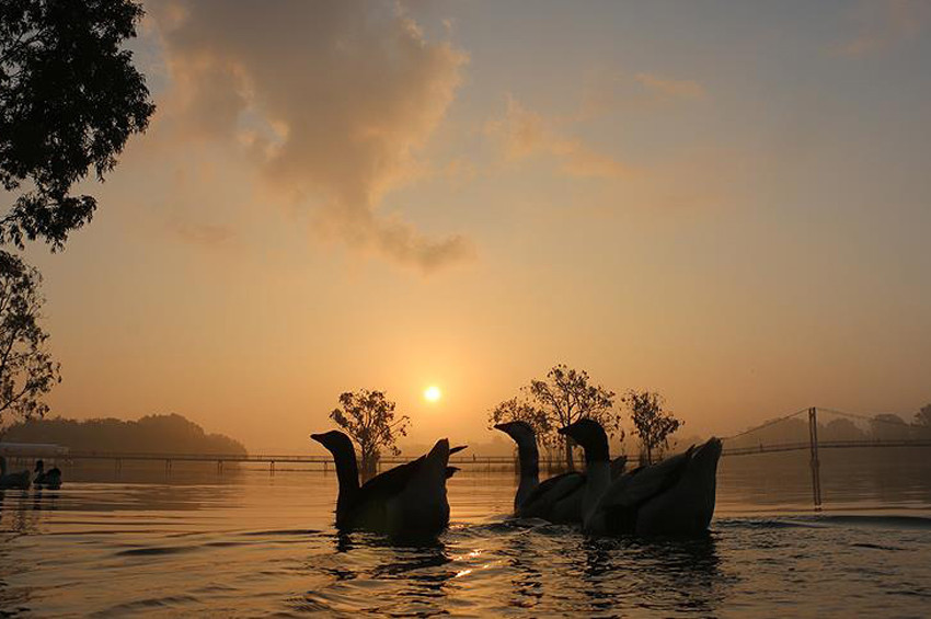 Türk bilimadamı su buharından elektrik üretimi önerdi
