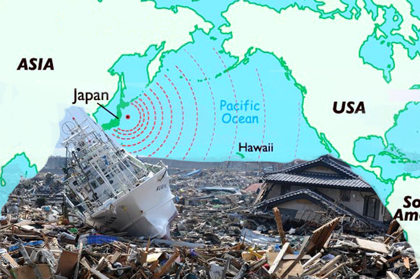 Tsunami 1 milyon deniz canlısını Japonyadan ABDye taşıdı